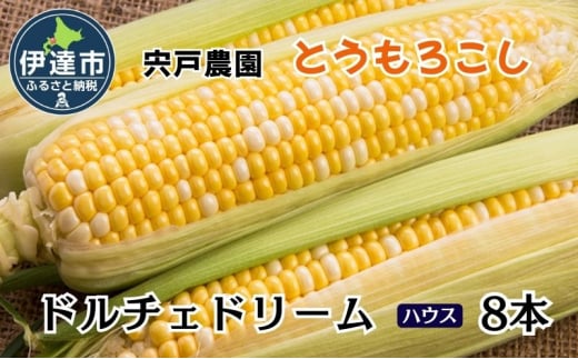 [№5525-1156]とうもろこし ドルチェドリーム L～LLサイズ 8本 ハウス 栽培 バイカラー スイートコーン 北海道 伊達市 生産者 直送 新鮮 宍戸農園 【オンライン決済限定】