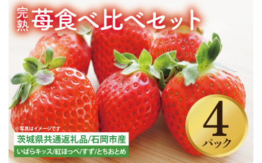 【先行予約】完熟苺 食べ比べセット 4パック【茨城県共通返礼品：石岡市】│ 完熟 いちご イチゴ いばらキッス 紅ほっぺ すず とちおとめ（BH001）