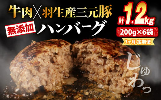 【定期便】 3回 ハンバーグ 1.2kg 計3.6kg 牛肉 豚肉 合挽き 冷凍 小分け 真空 個包装 大容量 大きめ 肉汁 たっぷり 保存料 不使用 無添加 淡路島 玉ねぎ ビーフ ポーク 牛 豚 肉 合いびき肉 挽肉 お弁当 おかず 惣菜 晩ごはん おつまみ お取り寄せ ごはんのお供 贅沢 ギフト お中元 お歳暮 贈り物 贈答