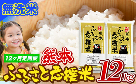 【12ヶ月定期便】米 無洗米 家庭用 熊本 ふるさと応援 定期便 米  12kg《申込み翌月から発送》 熊本県産 白米 精米 山江村 ブレンド米 国産 おうちご飯 予約 返礼品 発送 配送 SDGs わけあり むせんまい お米 おこめ