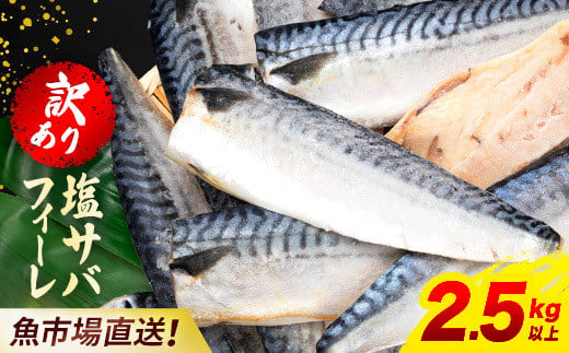 【訳あり】木更津魚市場直送！不揃い塩サバフィーレ 2.5㎏以上 塩サバ 塩さば 塩鯖 サバ さば 鯖 訳あり 訳アリ 訳有 切身 切り身 フィーレ  冷凍 千葉県 木更津市 送料無料 鯖の切り身 サバの切り身 さばの切り身 脂 2.5kg 2.5キロ 2kg 2キロ 海鮮 家庭用 冷凍塩サバ 冷凍塩鯖 冷凍塩さば 不揃い 不ぞろい お弁当 おかず ふるさと納税 KJ011