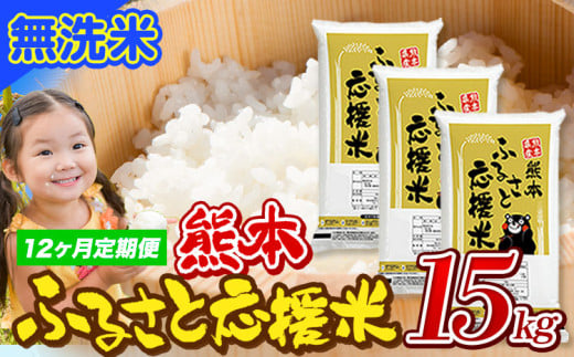 【12ヶ月定期便】米 無洗米 家庭用 熊本 ふるさと応援 定期便 米  15kg《申込み翌月から発送》 熊本県産 白米 精米 山江村 ブレンド米 国産 おうちご飯 予約 返礼品 発送 配送 SDGs わけあり むせんまい お米 おこめ