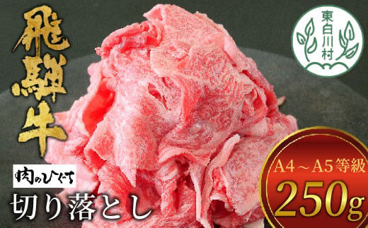 【1月発送】 飛騨牛 切り落とし 250g A5 A4 国産 牛 冷凍 お試し 和牛 牛肉 切落し 切り落し 訳あり 牛丼 すき焼き しゃぶしゃぶ 東白川村 岐阜 飛騨 贅沢 霜降り ロース バラ もも ウデ 肉のひぐち 5000円 五千円