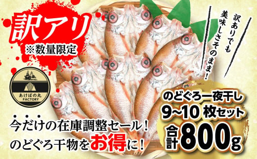 【訳あり数量限定】あけぼの丸ののどぐろ一夜干し800ｇ（9～10枚） 【2018】