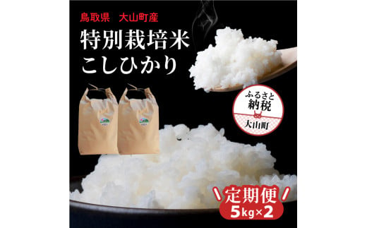 MR-16　減農薬・減化学肥料　特別栽培米こしひかり頒布会（白米5kg×2回） 1685754 - 鳥取県大山町