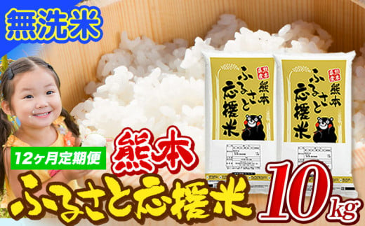 【12ヶ月定期便】米 無洗米 家庭用 熊本 ふるさと応援 定期便 米  10kg《申込み翌月から発送》 熊本県産 白米 精米 山江村 ブレンド米 国産 おうちご飯 予約 返礼品 発送 配送 SDGs わけあり むせんまい お米 おこめ 1621882 - 熊本県山江村