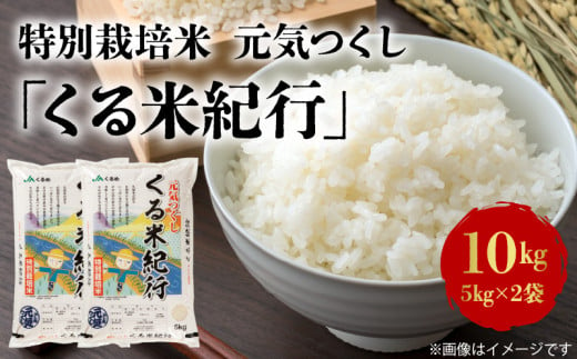 干し芋 紅はるか さつまいもスイーツ 国産 無添加 1.5kg [No.683] ／ ほしいも ホシイモ おやつ 岐阜県 特産品 - 岐阜県山県市｜ ふるさとチョイス - ふるさと納税サイト