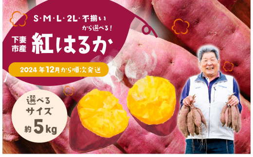 さつまいも 紅はるか 5kg「S・M・L・2L・不揃い」から選べる 茨城県下妻市産 [紅はるか べにはるか さつまいも サツマイモ 甘薯 かんしょ]