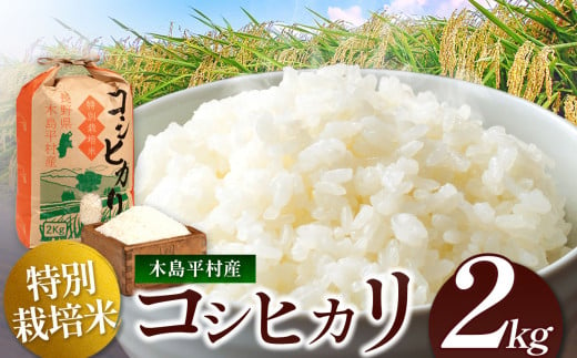 木島平産 コシヒカリ 約2kg | 米 白米 精米 特別栽培米 コシヒカリ こしひかり お米 おこめ 減農薬 長野県 木島平村 信州