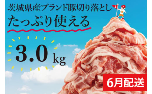 【数量限定】【6月発送】茨城県産ブランド豚切り落とし3kg (300g×10p)【肉 豚肉 切り落とし 小分け 真空 真空パック 茨城県産 肉料理 肩ロース ウデ モモ バラ 水戸市 水戸】（EC-20-6）