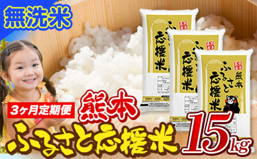 【3ヶ月定期便】米 無洗米 家庭用 熊本 ふるさと応援 定期便 米  15kg《申込み翌月から発送》 熊本県産 白米 精米 山江村 ブレンド米 国産 おうちご飯 予約 返礼品 発送 配送 SDGs わけあり むせんまい お米 おこめ