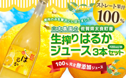 山本農園の生搾りはるか 3本セット ジュース オレンジジュース みかんジュース 佐賀県 太良町