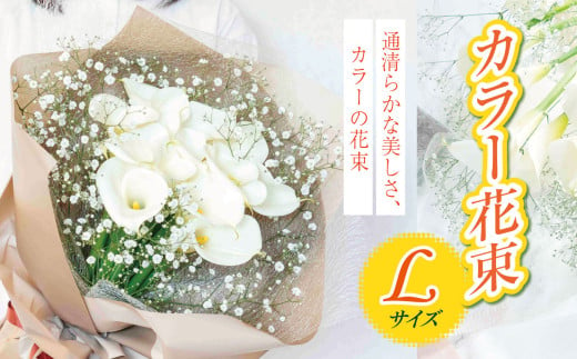 【 先行予約 】 カラー  花束 L サイズ  | 白い カラー  シンプル 結婚式 ブーケ 装飾 贈り物 贈答 ギフト 自宅 オフィス インテリア オススメ 千葉県 君津市 きみつ 1698556 - 千葉県君津市