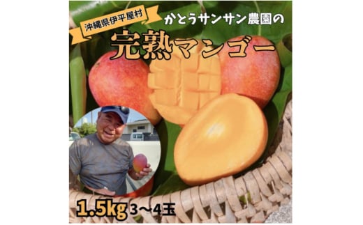＜2025年7月頃発送＞離島の恵み　完熟マンゴー1.5kg【1497087】 1361022 - 沖縄県伊平屋村