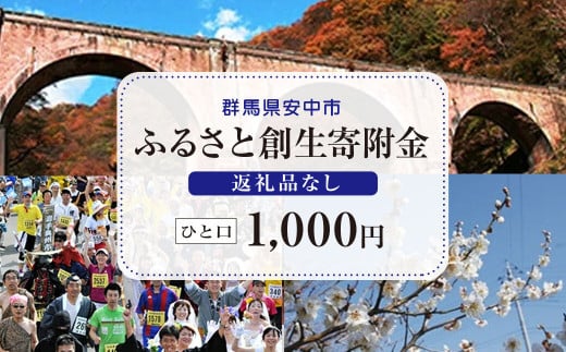 【返礼品なし】群馬県安中市 ふるさと創生寄附金 一口：1000円 / ANAX017 /寄附 事業 1000円 応援 エール 返礼品なし