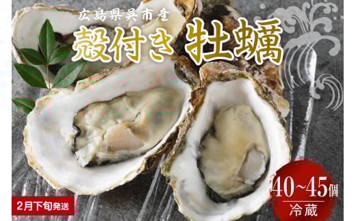 【2026年2月下旬発送】宮原水産 かき 殻付き 40~45個 ku005-013-02-3-25 2063409 - 広島県呉市