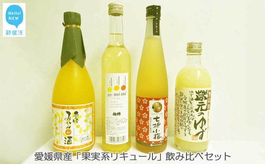 愛媛県産 果実系リキュール 飲み比べセット（720ml×1本・500ml×3本）【栄光酒造・梅錦山川・協和酒造・近藤酒造】