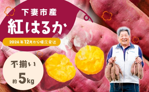 【訳あり(不揃い)】さつまいも 紅はるか 5kg 不揃いサイズ 茨城県下妻市産 【紅はるか べにはるか さつまいも サツマイモ 甘薯 かんしょ】 