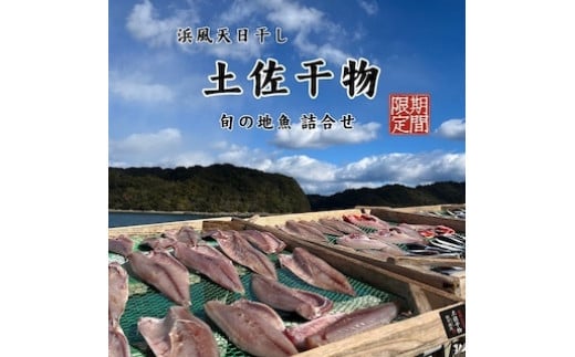 M215 冷蔵！天日干し 手作り干物詰め合わせ地魚セット 無添加土佐干物 期間限定品