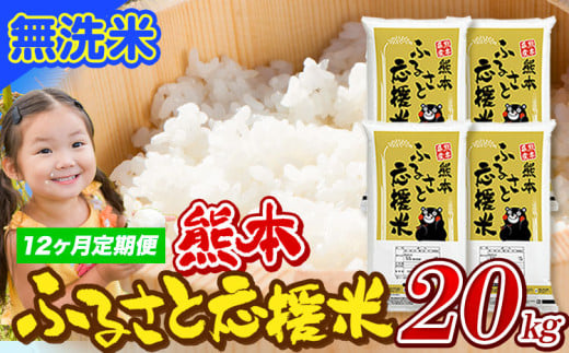 【12ヶ月定期便】米 無洗米 家庭用 熊本 ふるさと応援 定期便 米  20kg《申込み翌月から発送》 熊本県産 白米 精米 山江村 ブレンド米 国産 おうちご飯 予約 返礼品 発送 配送 SDGs わけあり むせんまい お米 おこめ