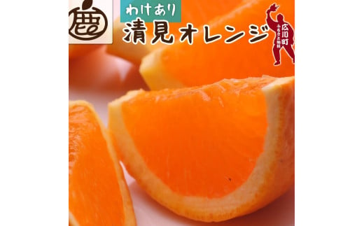 家庭用 清見 オレンジ 1kg+30g（痛み補償分）【光センサー食頃出荷】【樹上完熟きよみオレンジ・清見タンゴール・清美】【わけあり・訳あり】＜2月上旬～4月上旬ごろに順次発送予定＞ ※北海道・沖縄・離島への配送不可【ikd011-c-1】 1530446 - 和歌山県広川町