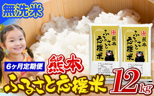 【6ヶ月定期便】米 無洗米 家庭用 熊本 ふるさと応援 定期便 米  12kg《申込み翌月から発送》 熊本県産 白米 精米 山江村 ブレンド米 国産 おうちご飯 予約 返礼品 発送 配送 SDGs わけあり むせんまい お米 おこめ 1621884 - 熊本県山江村