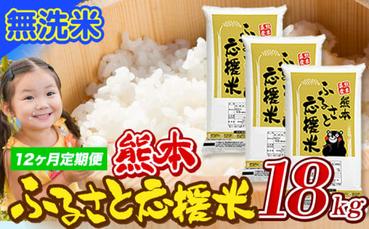 【12ヶ月定期便】米 無洗米 家庭用 熊本 ふるさと応援 定期便 米  18kg《申込み翌月から発送》 熊本県産 白米 精米 山江村 ブレンド米 国産 おうちご飯 予約 返礼品 発送 配送 SDGs わけあり むせんまい お米 おこめ