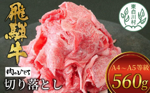 【1月発送】飛騨牛 切り落とし 560g A5 A4 国産 牛 冷凍 お試し 和牛 牛肉 切落し 切り落し 薄切り 訳あり 牛丼 すき焼き しゃぶしゃぶ 東白川村 岐阜 飛騨 贅沢 霜降り ロース バラ もも ウデ 肉のひぐち 10000円 一万円