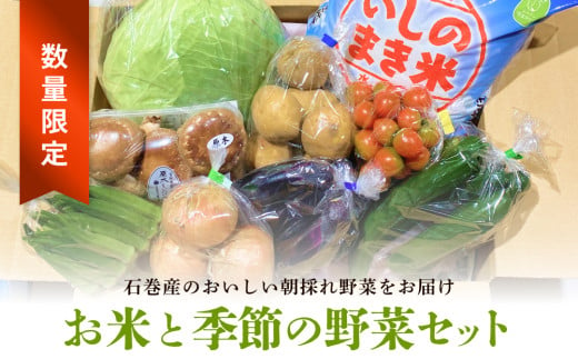 ＜数量限定＞石巻産 お米と季節の野菜セット 朝採れ 旬の野菜 季節の野菜 お野菜 詰め合わせ 食材 新鮮 1522584 - 宮城県石巻市