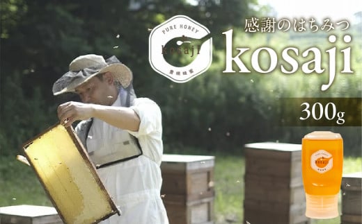 数量限定！【kosaji】春はちみつ300g ボトル入り 1554367 - 愛知県豊橋市