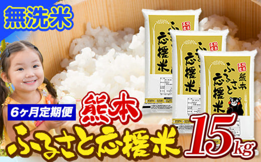 【6ヶ月定期便】米 無洗米 家庭用 熊本 ふるさと応援 定期便 米  15kg《申込み翌月から発送》 熊本県産 白米 精米 山江村 ブレンド米 国産 おうちご飯 予約 返礼品 発送 配送 SDGs わけあり むせんまい お米 おこめ