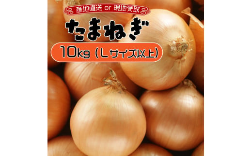 ≪通常配送or現地受取が選べる!≫ 市場の目利き 北海道岩見沢産たまねぎ 10kg