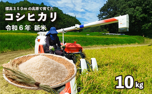 コシヒカリ10kg【令和6年産】新米 コシヒカリ こしひかり ごはん お米 米 おにぎり 令和６年  181001