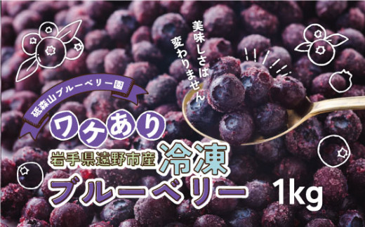 訳あり 冷凍 ブルーベリー 1kg 岩手県 遠野市 遠野食工房蔵