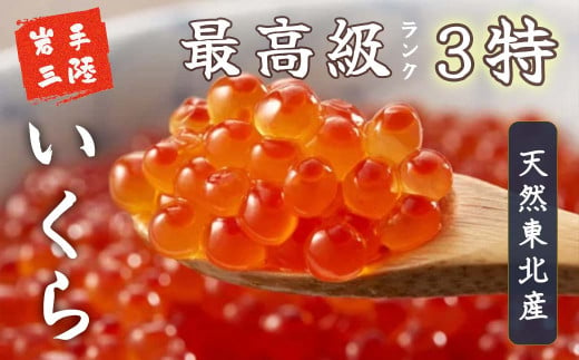 いくら 醤油漬け 200g (100g × 2個)