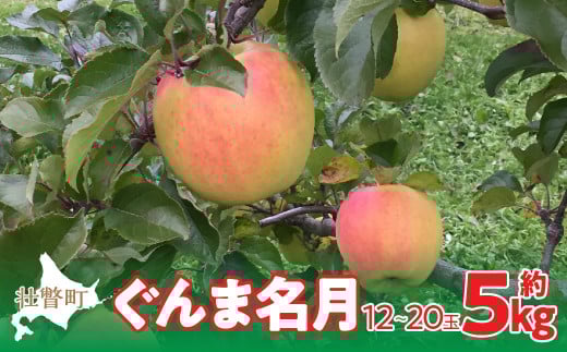 ＜2025年11月中旬よりお届け＞北海道壮瞥町 りんご「ぐんま名月」12～20玉約5kg  【 ふるさと納税 人気 おすすめ ランキング りんご リンゴ 林檎 ぐんま名月 甘い 蜜 北海道 壮瞥町 送料無料 】 SBTF013