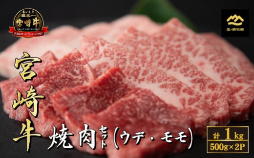 【A4等級以上】宮崎牛おためし焼肉 500g×2P（国産 牛肉 肉 宮崎牛 黒毛和牛 赤身 モモ ウデ  焼肉 人気 特別提供）