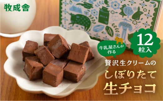 生チョコレート  1箱(1箱12粒入り)   生クリーム使用 チョコレート スイーツ 冷凍 洋菓子 ギフト 贈答 贈り物 プレゼント 牧成舎 ホワイトデー