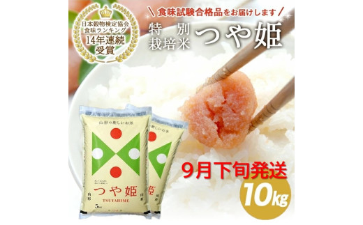 9月下旬配送/令和6年産[精米]山形県産 特別栽培米 つや姫 10kg(5kg×2袋) JS