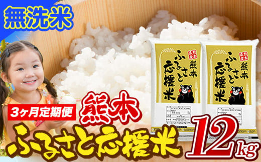 【3ヶ月定期便】米 無洗米 家庭用 熊本 ふるさと応援 定期便 米  12kg《申込み翌月から発送》 熊本県産 白米 精米 山江村 ブレンド米 国産 おうちご飯 予約 返礼品 発送 配送 SDGs わけあり むせんまい お米 おこめ 1621883 - 熊本県山江村