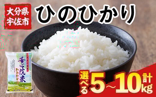 [内容量が選べる!][令和6年産・新米]ヒノヒカリ 大分県宇佐市安心院産(5kg〜10kg) お米 白米 精米 ご飯 ごはん ひのひかり[116800100・116800200][大分県農業協同組合 ふれあい市場安心院店]