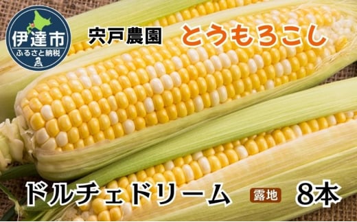 [№5525-1157]とうもろこし ドルチェドリーム L～LLサイズ 8本 露地 栽培 バイカラー スイートコーン 北海道 伊達市 生産者 直送 新鮮 宍戸農園  【オンライン決済限定】