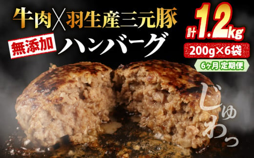 【定期便】 6回 ハンバーグ 1.2kg 計7.2kg 牛肉 豚肉 合挽き 冷凍 小分け 真空 個包装 大容量 大きめ 肉汁 たっぷり 保存料 不使用 無添加 淡路島 玉ねぎ ビーフ ポーク 牛 豚 肉 合いびき肉 挽肉 お弁当 おかず 惣菜 晩ごはん おつまみ お取り寄せ ごはんのお供 贅沢 ギフト お中元 お歳暮 贈り物 贈答