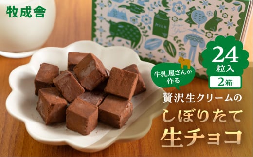 生チョコレート  2箱(1箱12粒入り)   生クリーム使用 チョコレート スイーツ 冷凍 洋菓子 ギフト 贈答 贈り物 プレゼント 牧成舎 ホワイトデー