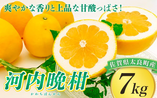 【令和7年4月頃～発送】爽やかな香りと上品な甘酸っぱさ！河内晩柑７ｋｇ　みかん ミカン 蜜柑 温州みかん 完熟みかん 甘熟 柑橘 河内晩柑 国産 佐賀県産 太良町 こだわり 贈答品 産地直送 低農薬 詰め合わせ N72  393344 - 佐賀県太良町