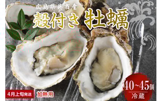 [2026年4月上旬発送]宮原水産 かき 殻付き 40〜45個 加熱用 ku005-013-04-1-25