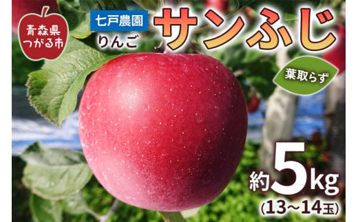 りんご サンふじ 葉取らず 大玉 約5kg (13～14玉)｜青森産 青森りんご リンゴ 林檎 フルーツ 果物 令和6年 2024年 サンフジ ふじ [0762]