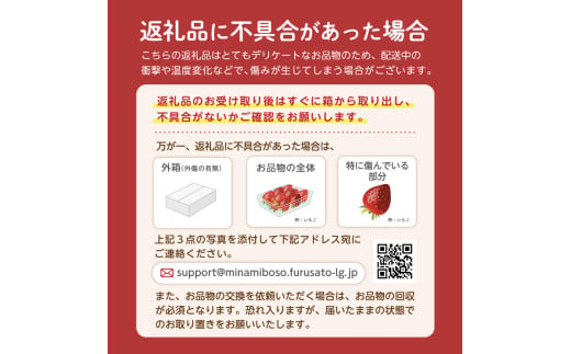 千葉県南房総市のふるさと納税 【先行受付 2025年5月下旬～6月中旬発送予定】房州びわ(露地)12粒入2Lサイズ以上1箱 mi0010-0010 【 びわ フルーツ 旬 季節 果物 瑞々しい お取り寄せ グルメ】