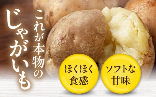 新じゃが じゃがいも キタアカリ 10Kg ジャガイモ じゃがいも 野菜 季節の野菜 詰め合わせ 北海道 産地直送 