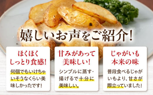  ジャガイモ じゃがいも 野菜 季節の野菜 詰め合わせ 北海道 産地直送